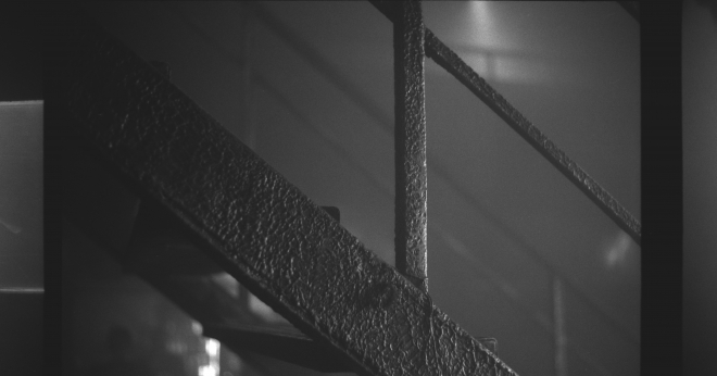 15 KAHN & NEEK, Fuchs2